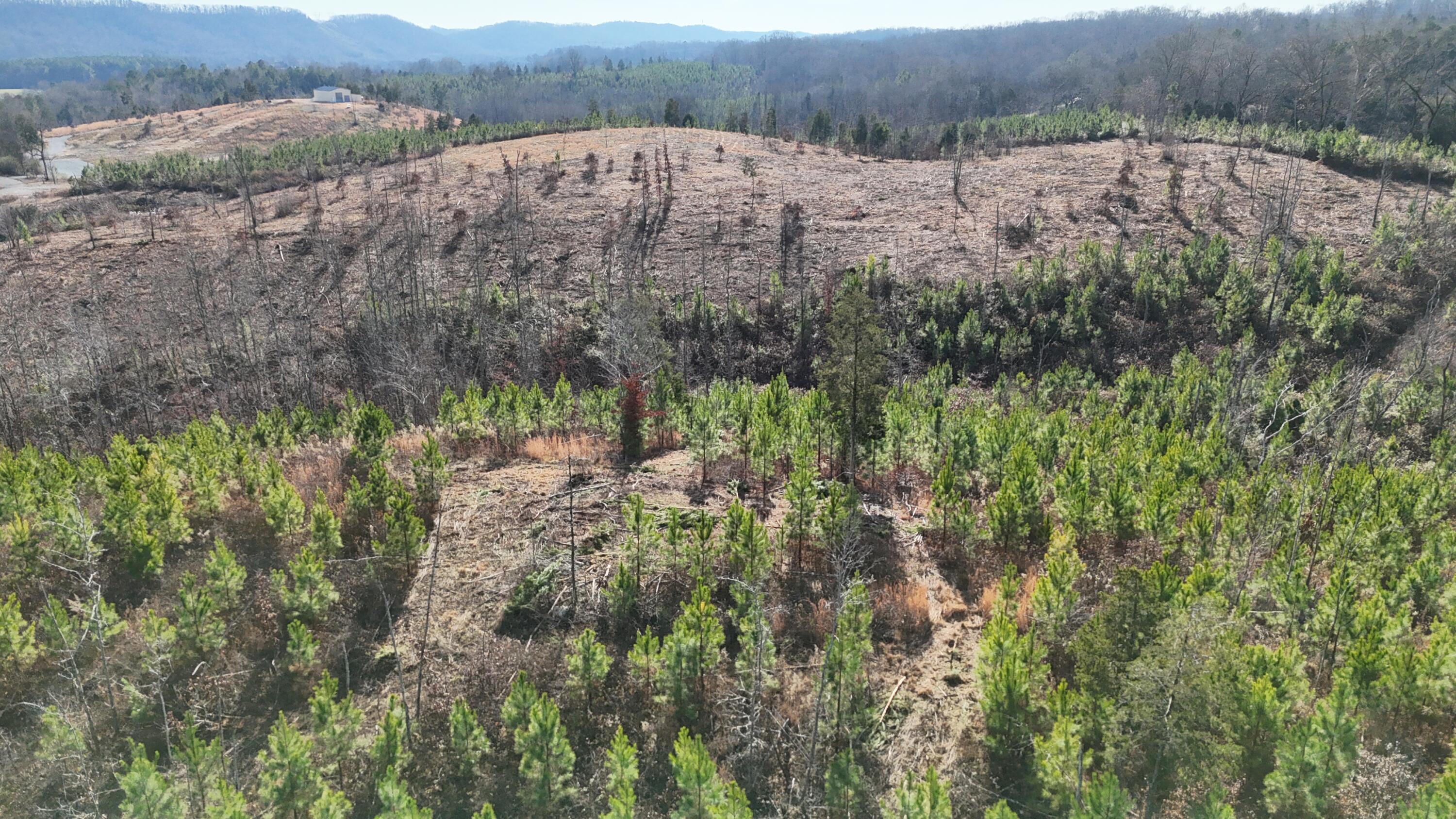0 Big Sewee Road Decatur, TN 37322 - Photo 11 of 23 DJI_20251212132705_0130_D