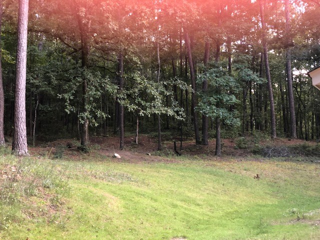 10300 Whitesville Road Fortson, GA 31808 - Photo 2 of 15 Gallery Image 2