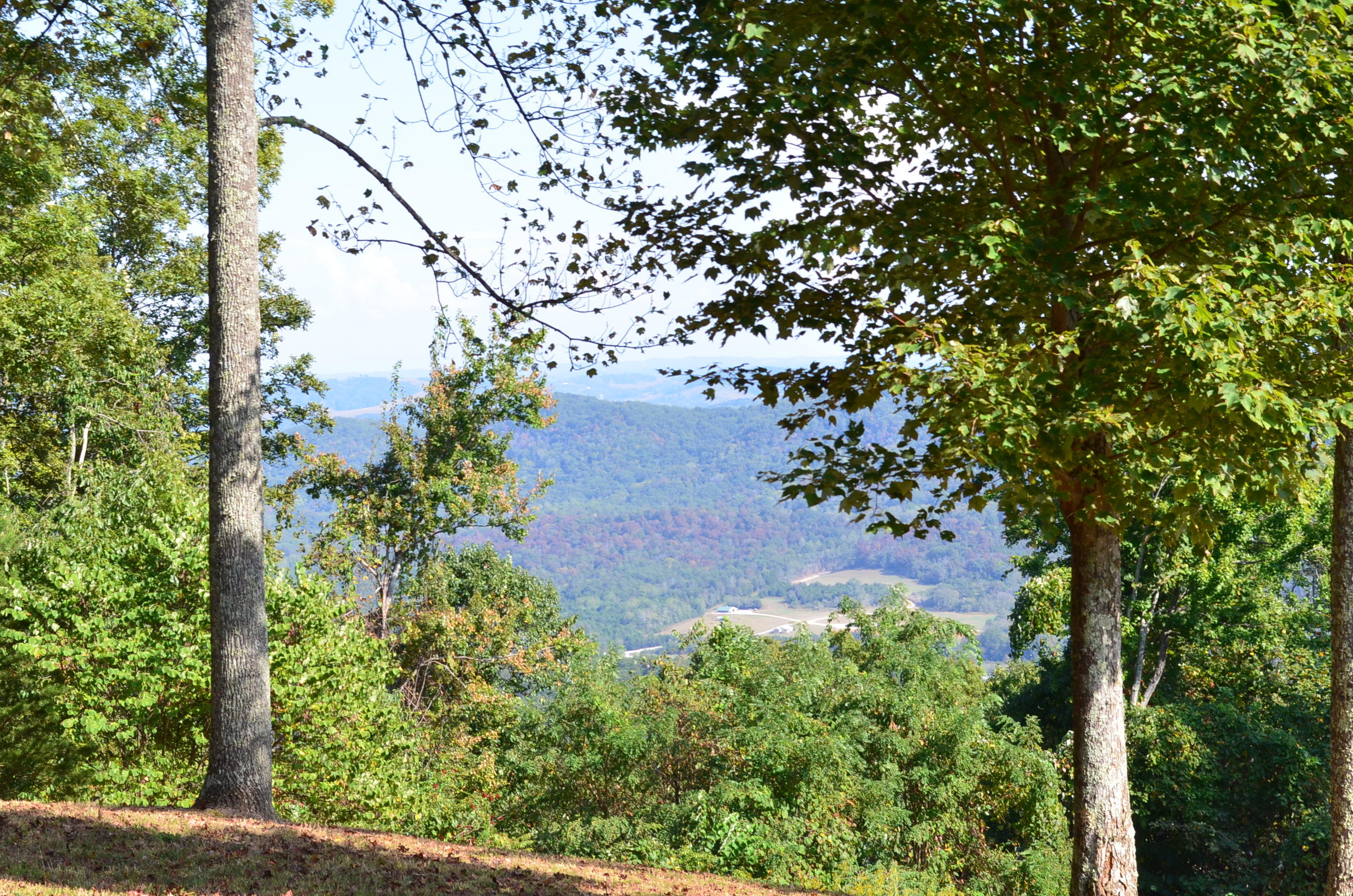 2396 Joppa Mountain Road Rutledge, TN 37861 - Photo 14 of 38 DSC_0757