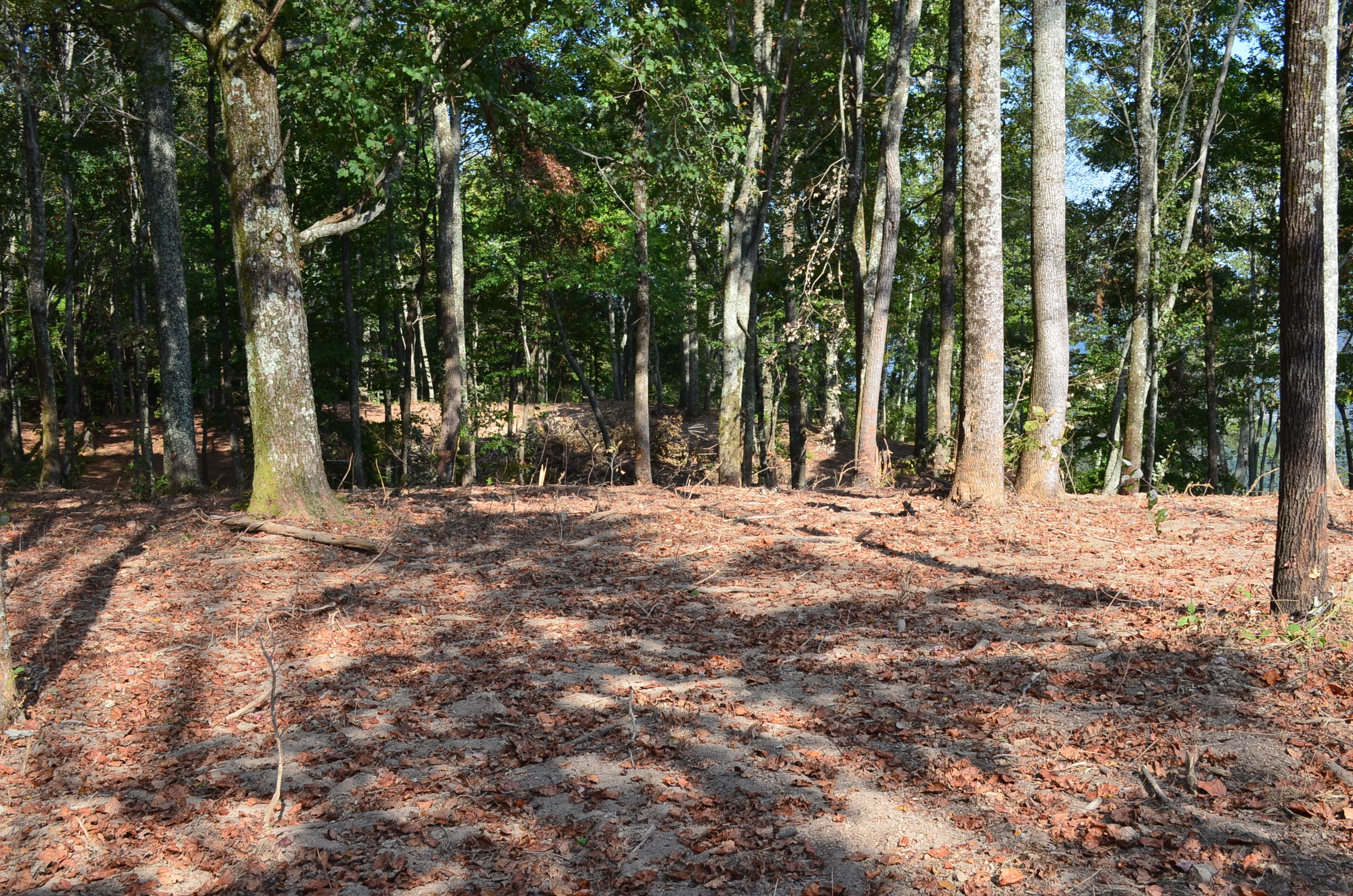 2396 Joppa Mountain Road Rutledge, TN 37861 - Photo 22 of 38 DSC_0770