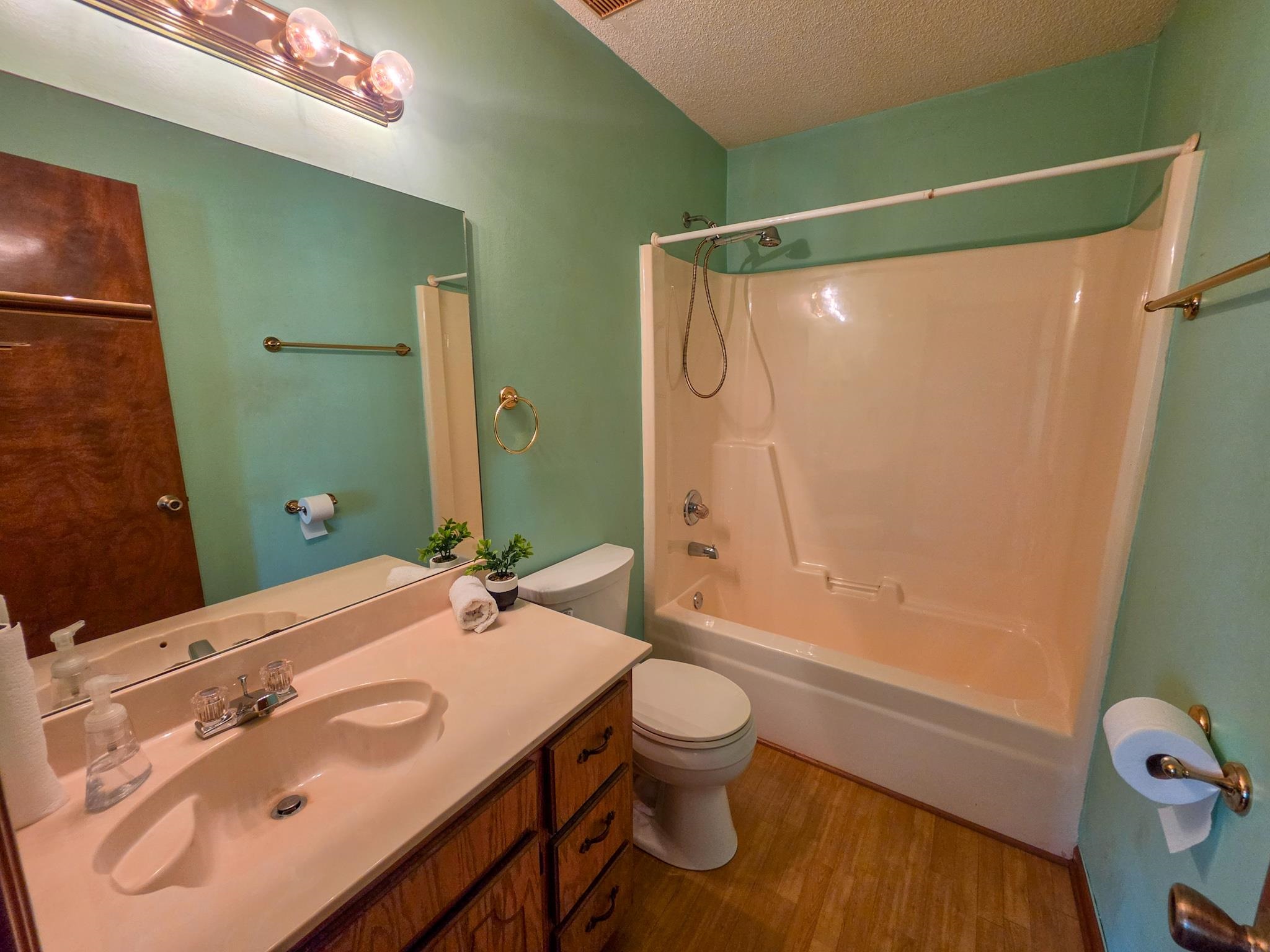 966 Beaver Road Munford, TN 38058 - Photo 20 of 32 Full bathroom featuring a single vanity with wood-finish cabinetry, a built-in sink, and a mirrored wall