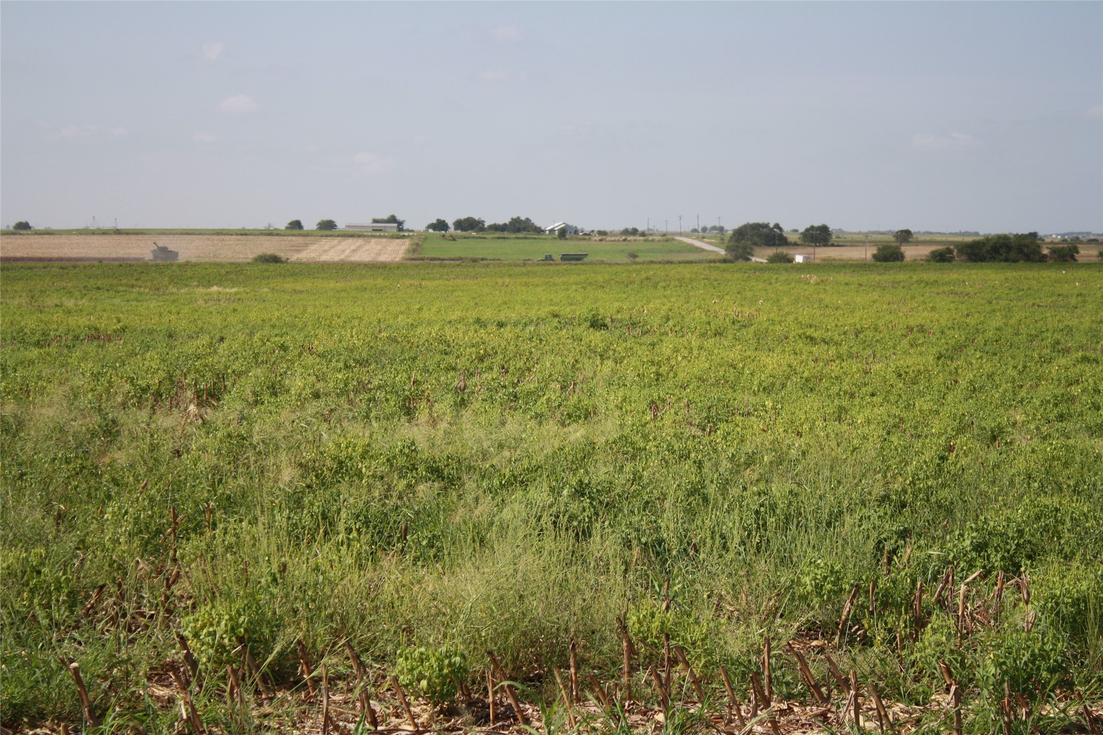Tbd Gooseneck Road, Unit 1 Bartlett, TX 76511 - Photo 13 of 14