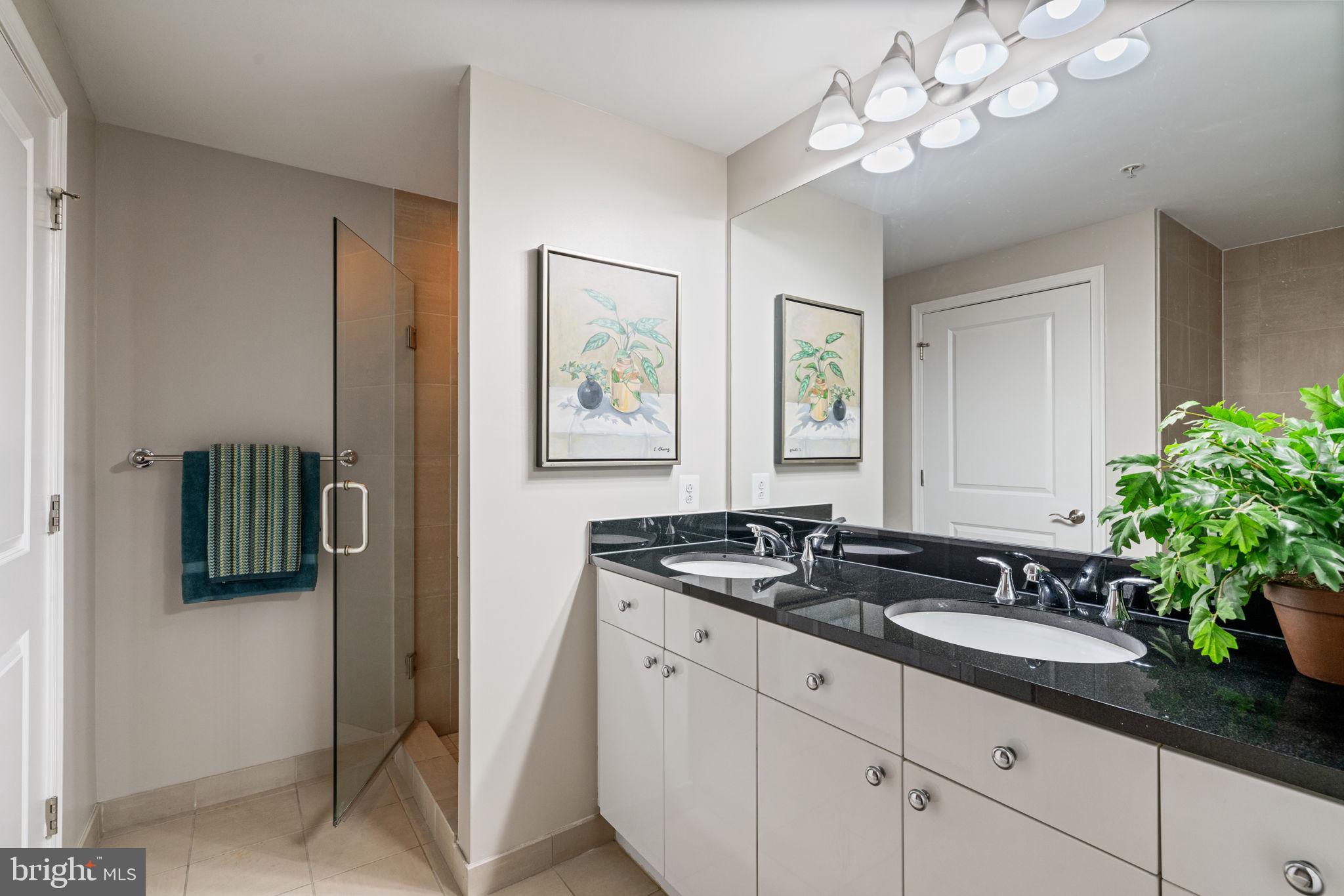 11990 Market Street, Unit 1311 Reston, VA 20190 - Photo 42 of 59 a bathroom with a sink a light fixture and a mirror