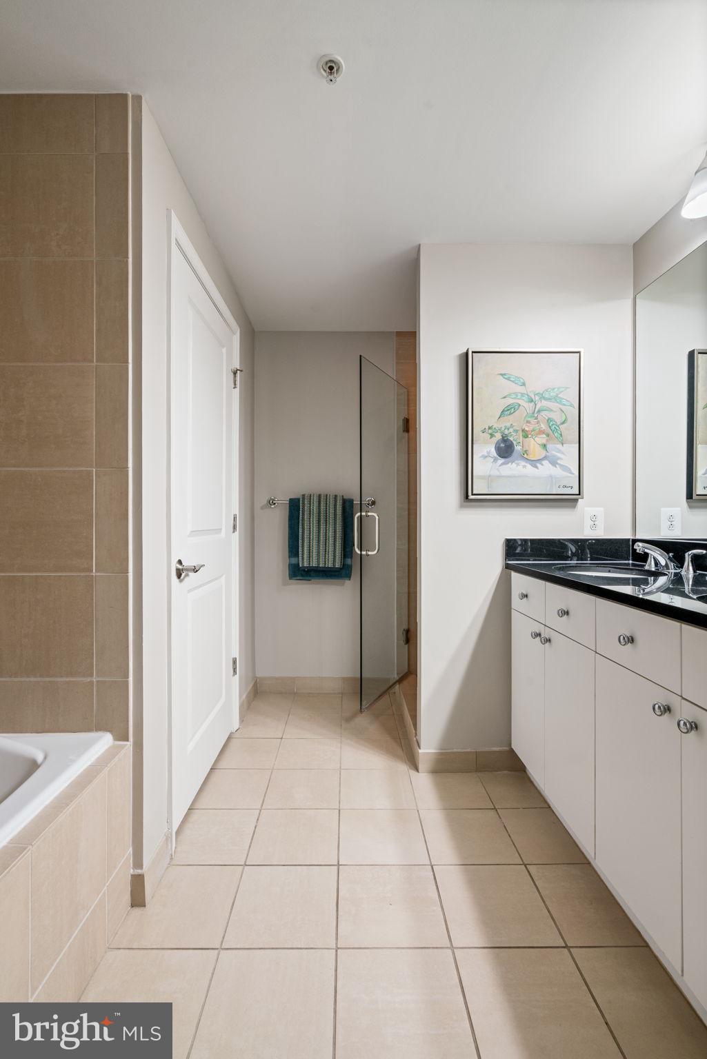 11990 Market Street, Unit 1311 Reston, VA 20190 - Photo 43 of 59 a spacious bathroom with a tub and shower