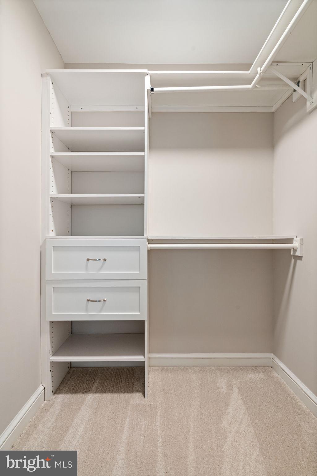 11990 Market Street, Unit 1311 Reston, VA 20190 - Photo 51 of 59 a view of an empty walk in closet