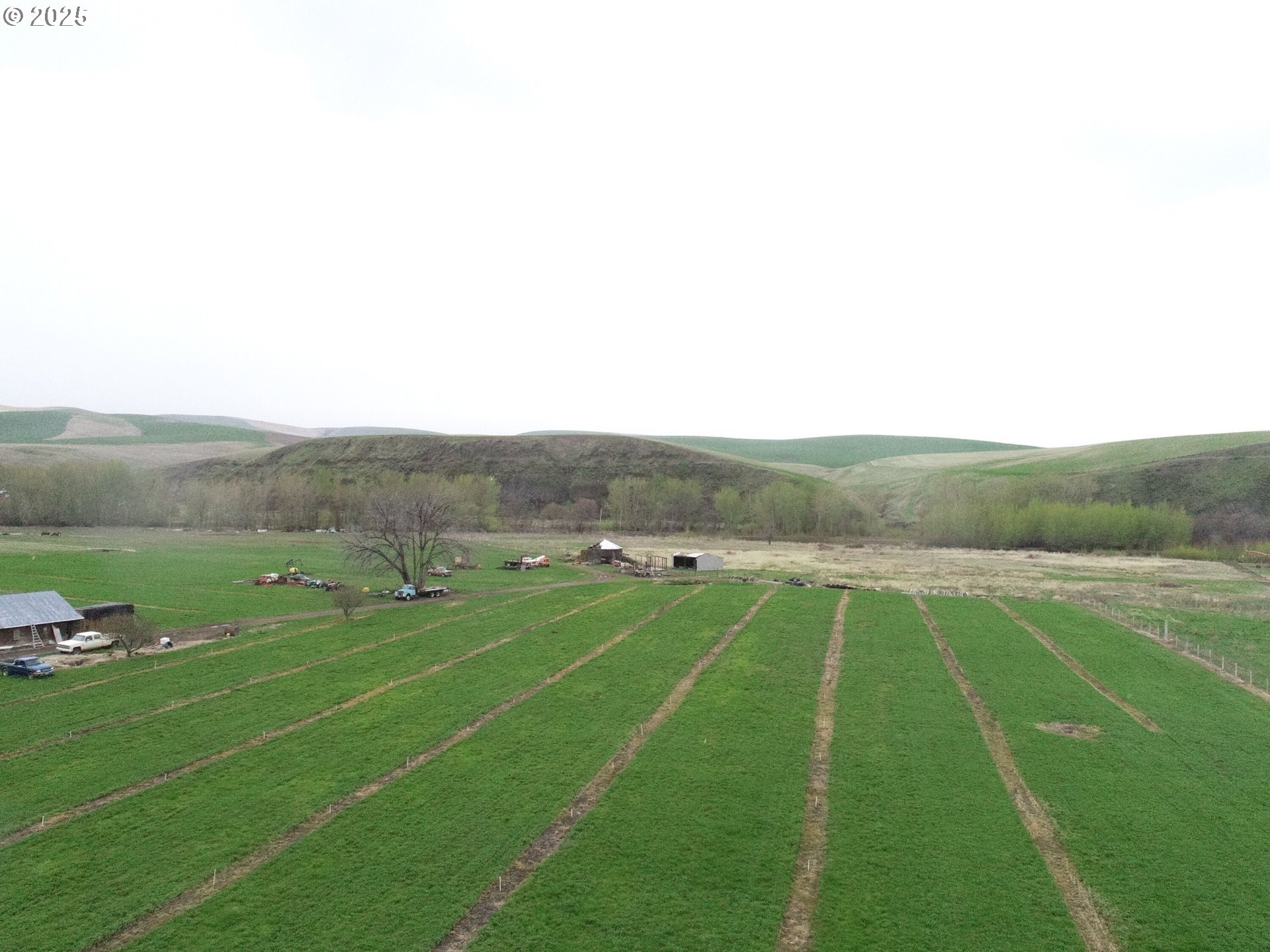 54884 Day Road Milton Freewater, OR 97862 - Photo 1 of 11