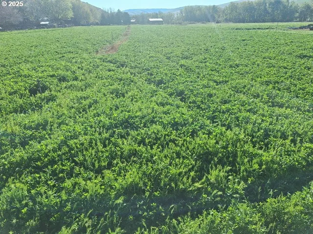 $620,000 | 54884 Day Road, Milton Freewater, OR 97862