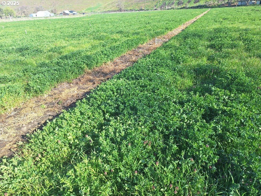 54884 Day Road Milton Freewater, OR 97862 - Photo 4 of 11