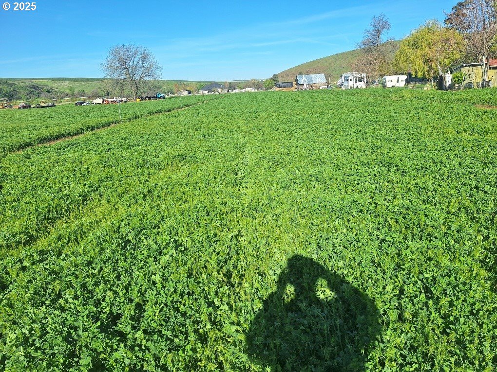 54884 Day Road Milton Freewater, OR 97862 - Photo 6 of 11