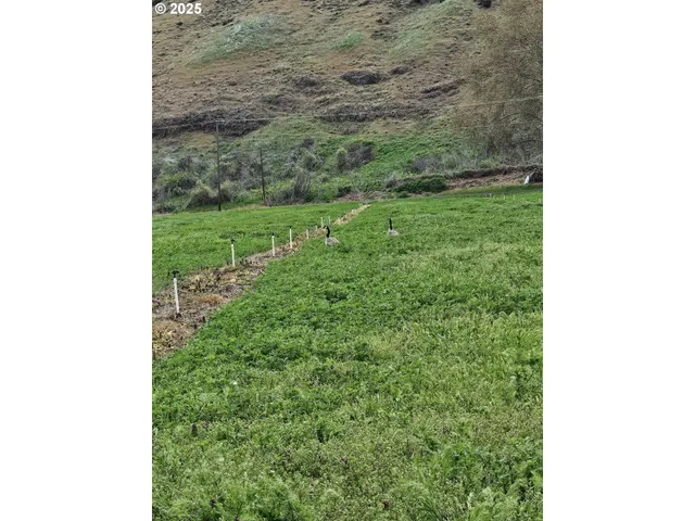 $620,000 | 54884 Day Road, Milton Freewater, OR 97862