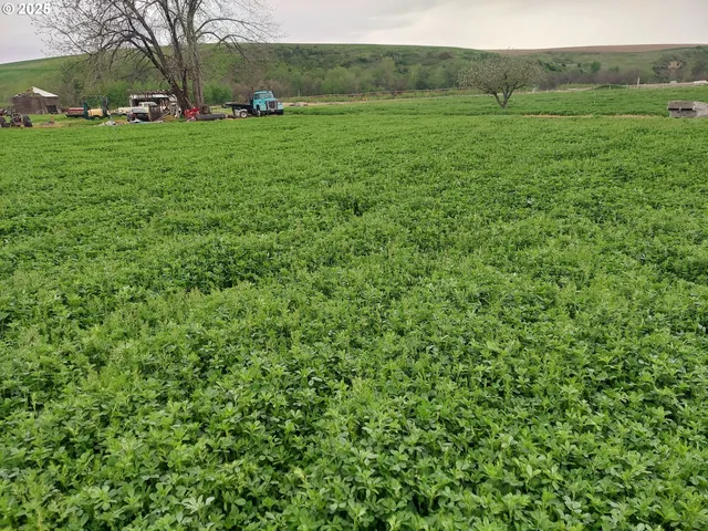 $620,000 | 54884 Day Road, Milton Freewater, OR 97862