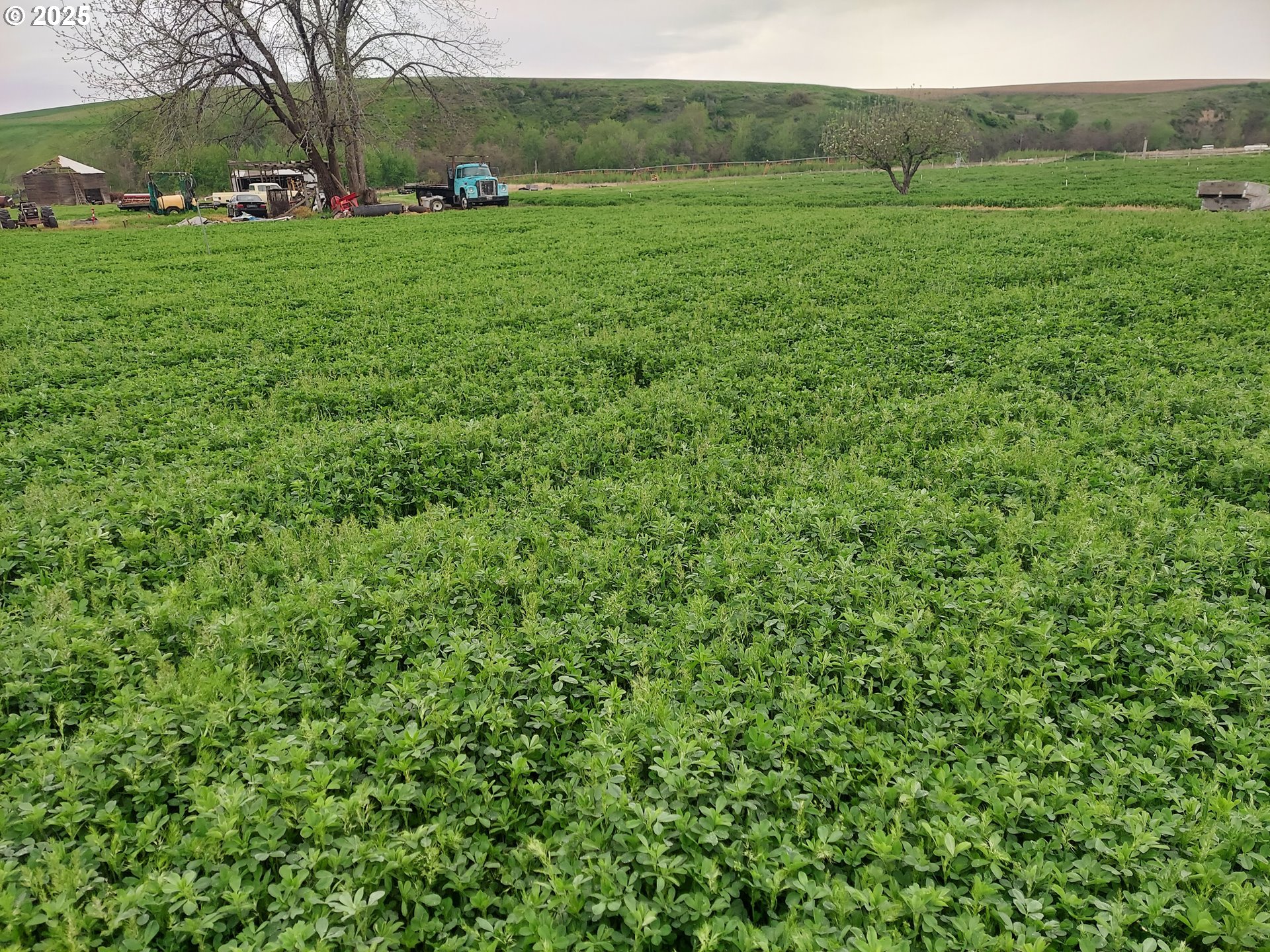 54884 Day Road Milton Freewater, OR 97862 - Photo 9 of 11