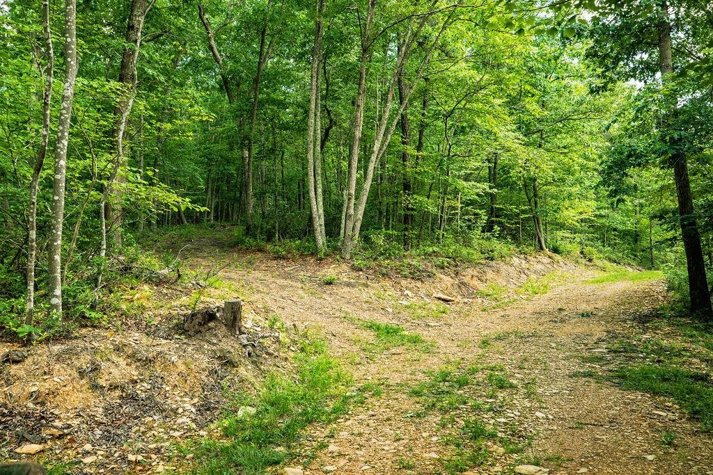 Tbd Calf Mountain Road Waynesboro, VA 22980 - Photo 22 of 36
