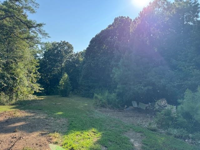 New Union Loop Toone, TN 38381 - Photo 1 of 3 View of tree filled area