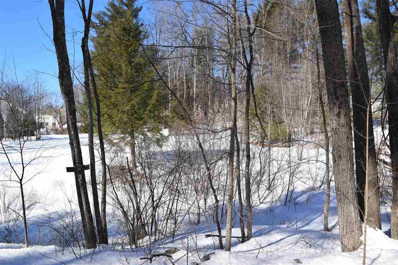 Tbd Walker Road, Unit 146 Center Barnstead, NH 03225 - Photo 3 of 3