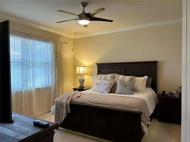 a bedroom with a large bed and a window