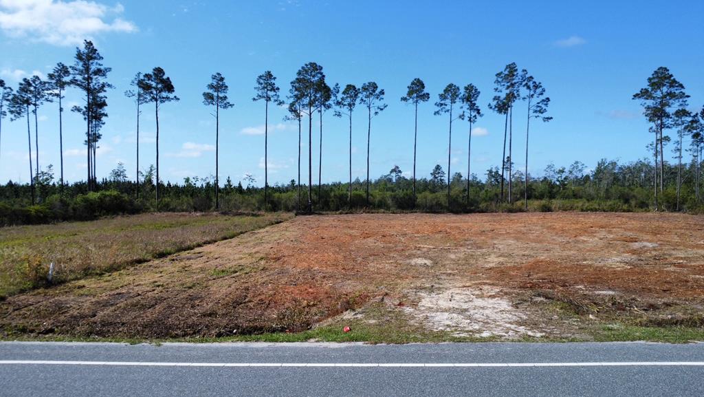 6364 Doc Whitfield Road Wewahitchka, FL 32465 - Photo 4 of 11 Gallery Image 4