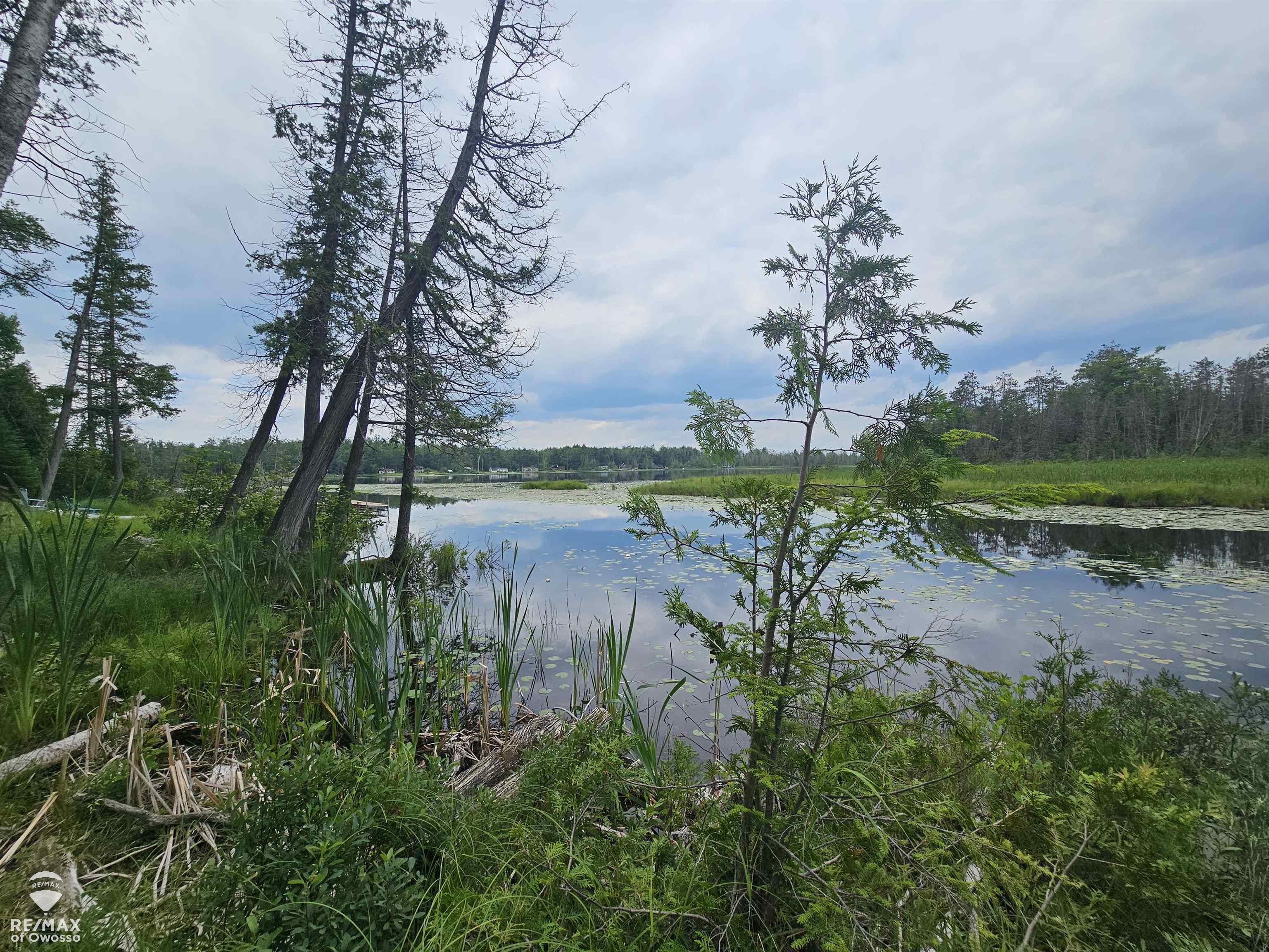 Spile Dam Road Millersburg, MI 49759 - Photo 15 of 16