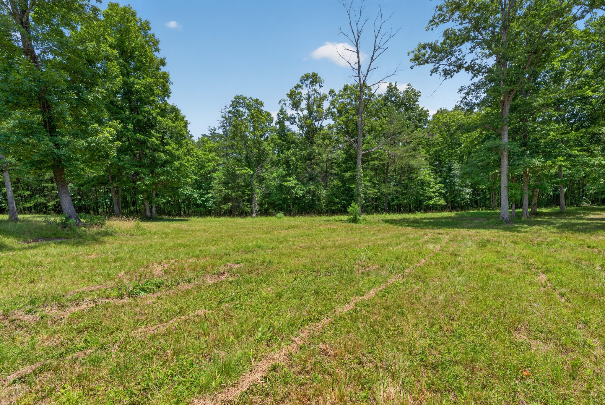 0 Monteagle Falls Road Monteagle, TN 37356 - Photo 4 of 17