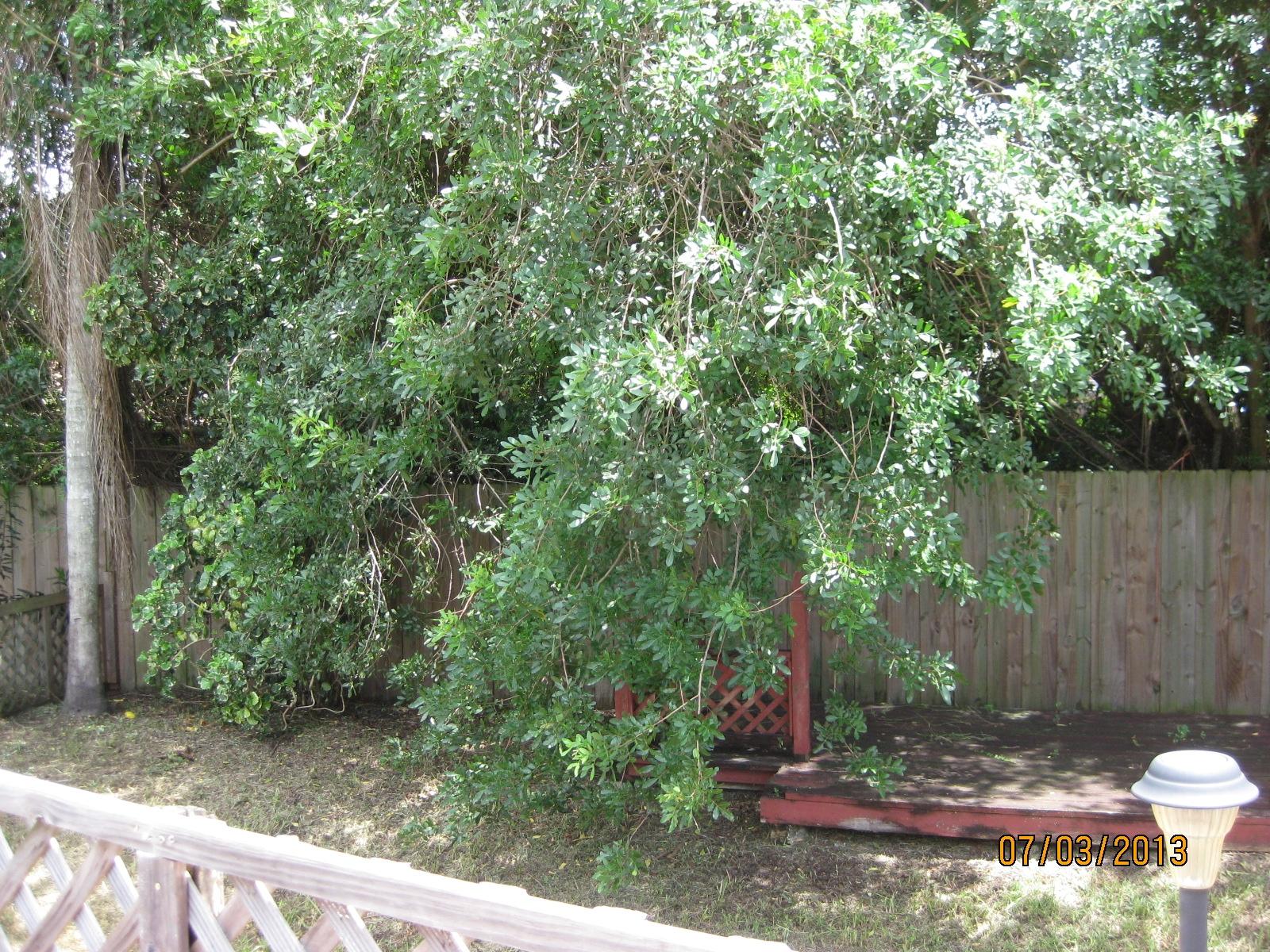11939 Flotilla Place Boca Raton, FL 33428 - Photo 12 of 13 IMG_4202