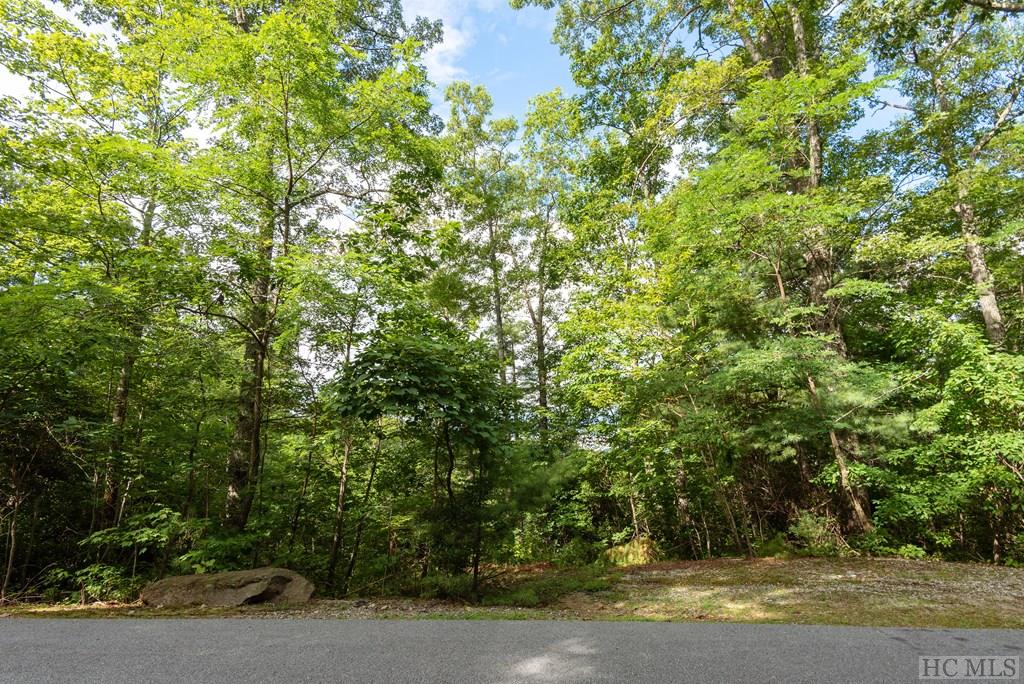 Lot 21 East Ridge Road Cashiers, NC 28717 - Photo 3 of 14 Gallery Image 3