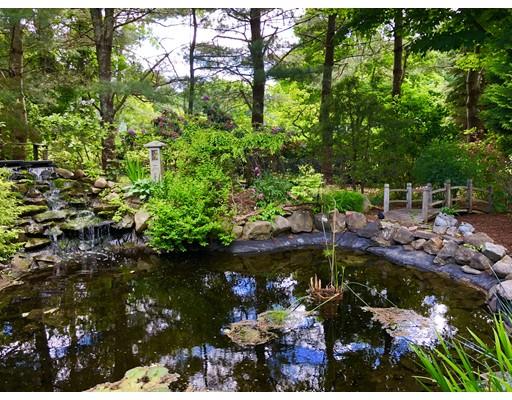 22 Azalea Road Sharon, MA 02067 - Photo 20 of 27 a view of a garden with plants