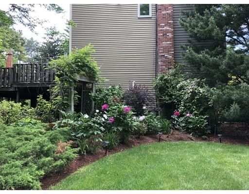 22 Azalea Road Sharon, MA 02067 - Photo 25 of 27 a view of a backyard with plants and wooden fence