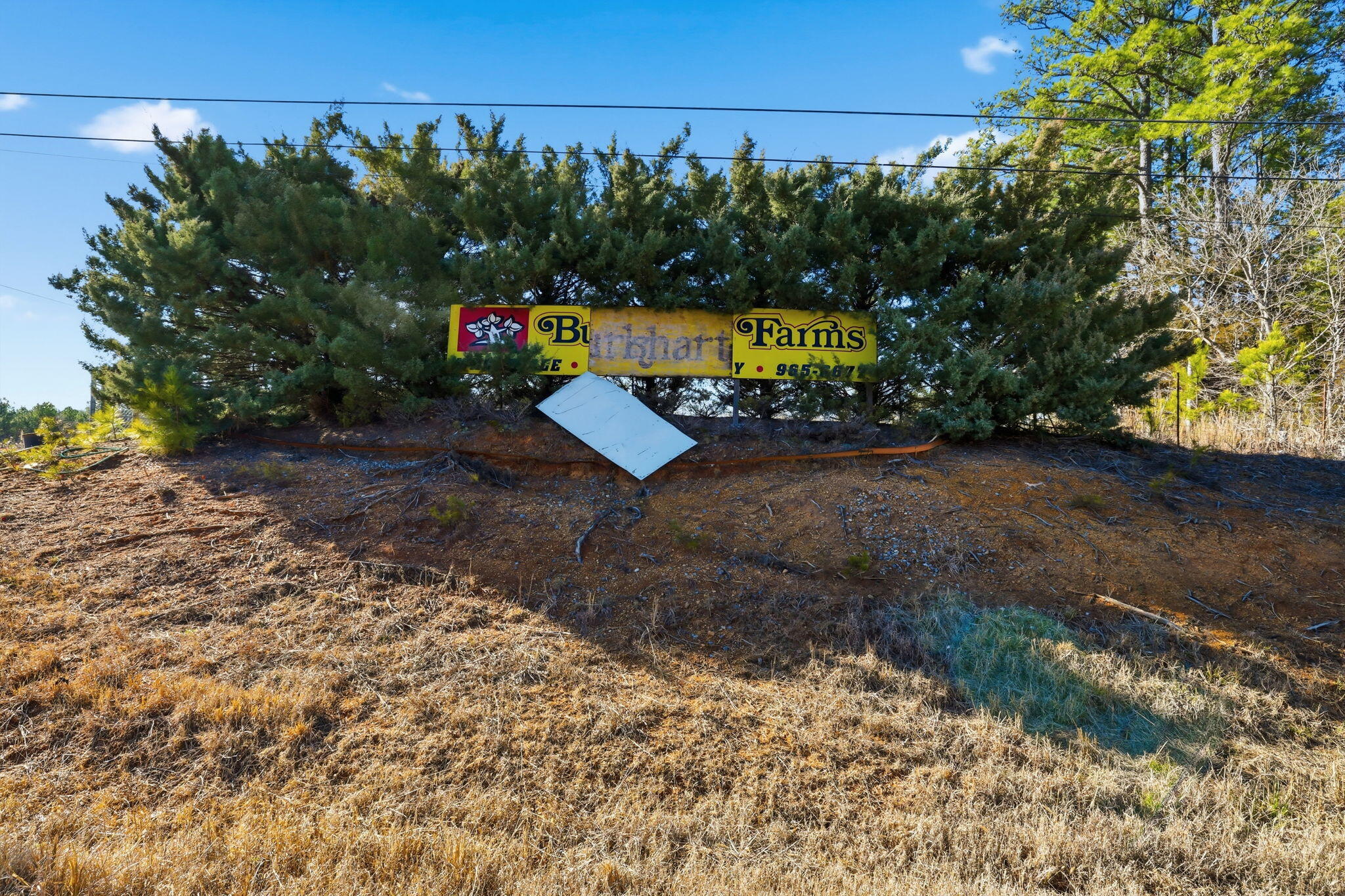 15590 Alabama Highway Rock Spring, GA 30739 - Photo 27 of 51 9-web-or-mls-15590-alabama-hwy