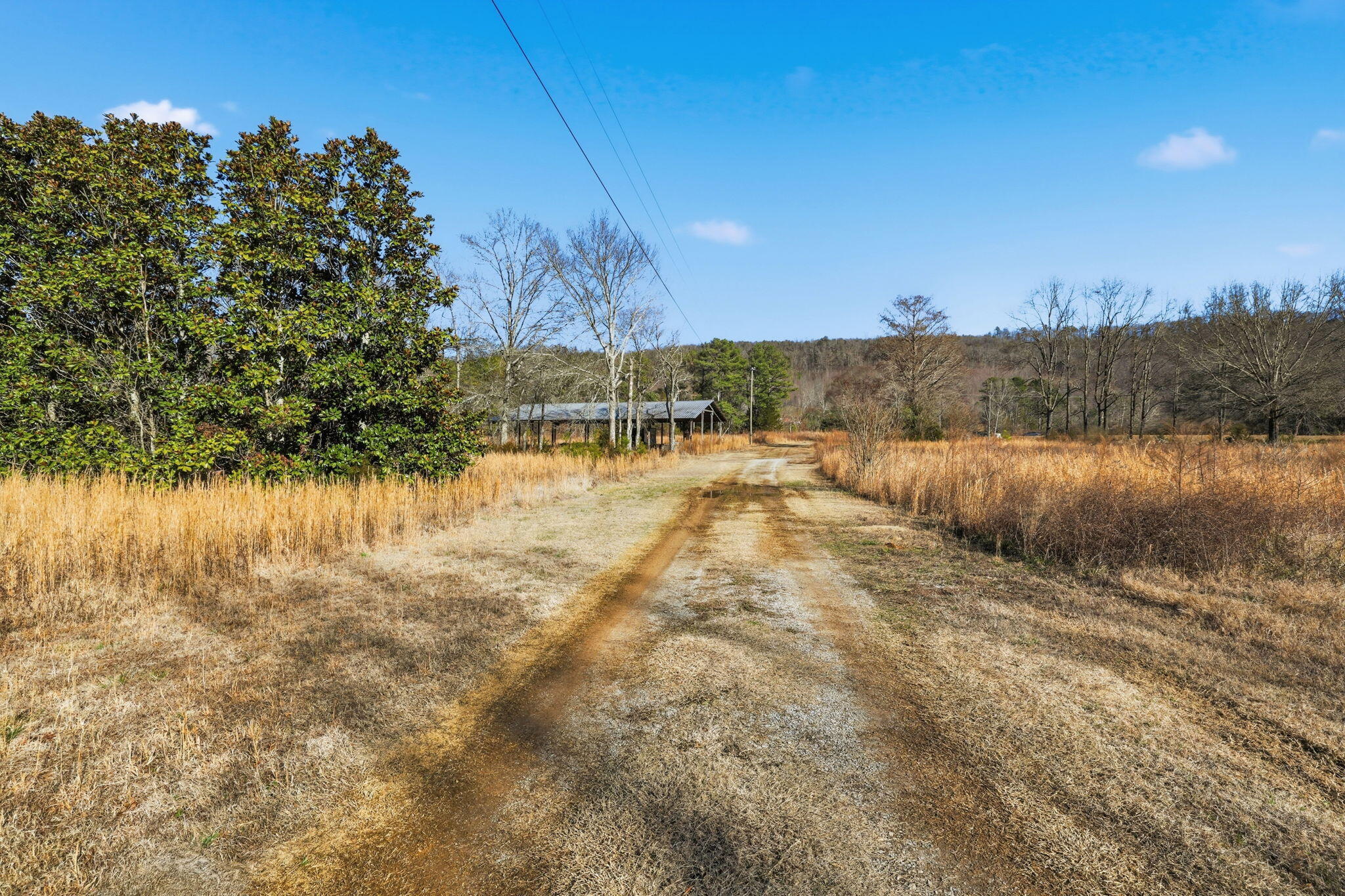 15590 Alabama Highway Rock Spring, GA 30739 - Photo 28 of 51 6-web-or-mls-15590-alabama-hwy