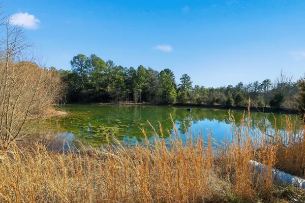 $600,000 | 15590 Alabama Highway, Rock Spring, GA 30739