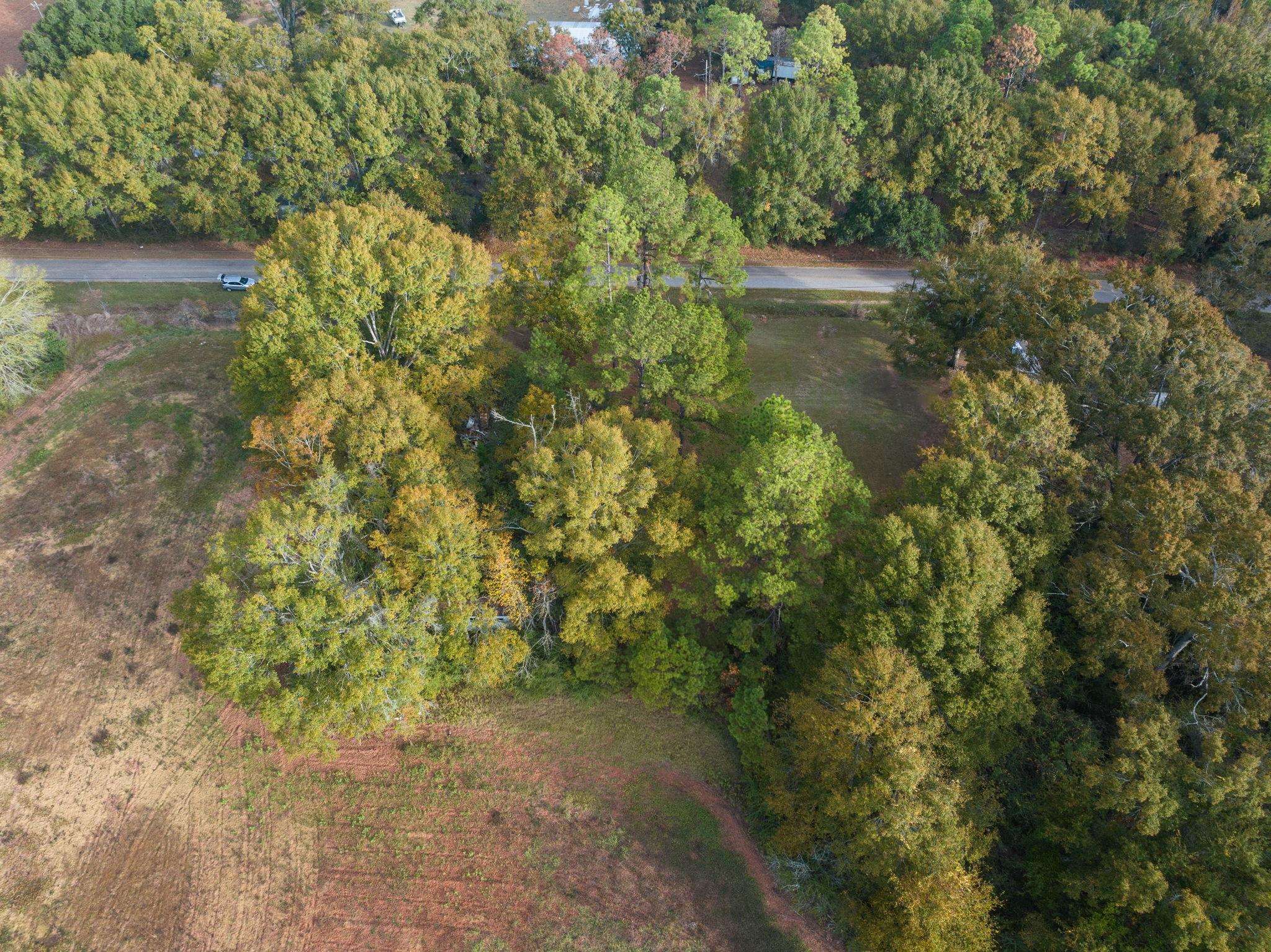 16200 Khola Stewart Road Bay Minette, AL 36507 - Photo 9 of 15
