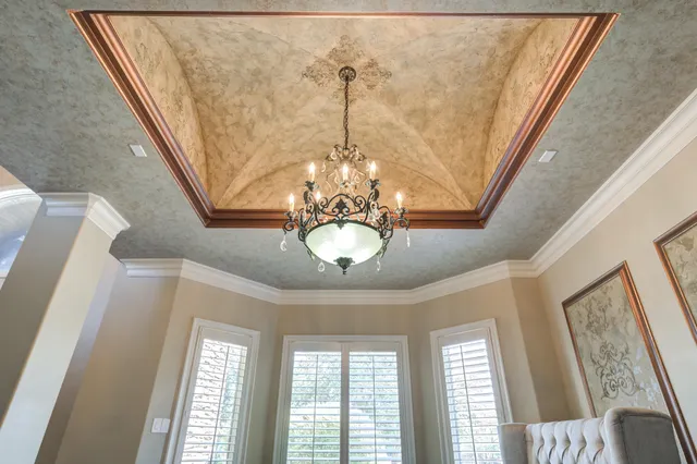 a living room with furniture potted plant and a ceiling fan