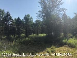 0 North Grow Road Stanton, MI 48888 - Photo 1 of 1 Front