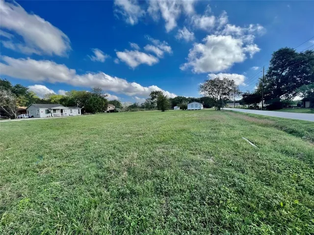 a view of a big yard with plants and large trees