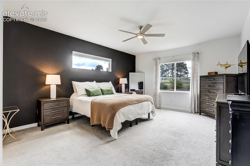 11824 Alydar Loop Colorado Springs, CO 80921 - Photo 20 of 50