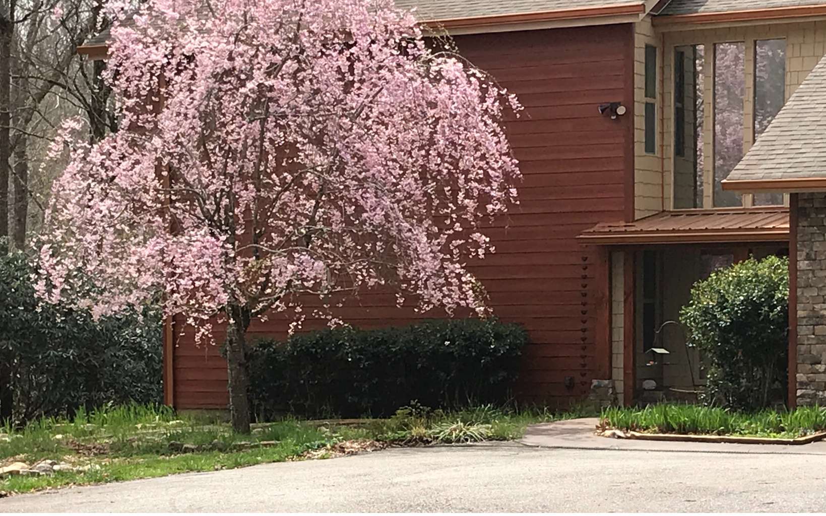 2000 New Hope Road Morganton, GA 30560 - Photo 3 of 4 Additional View