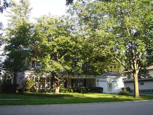 2029 Clover Road Northbrook, IL 60062 - Photo 1 of 1 a front view of a house with a yard and large trees