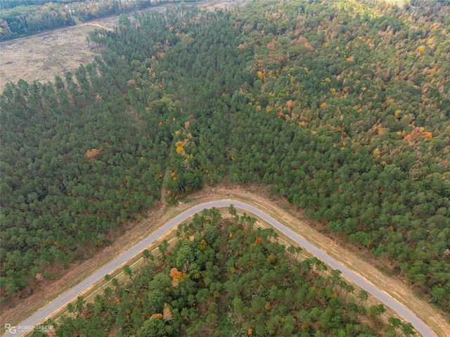 a view of a yard with large trees