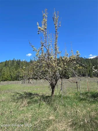 $600,000 | 9 Dead Horse Lane, Heron, MT 59844