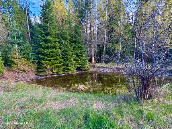 $600,000 | 9 Dead Horse Lane, Heron, MT 59844
