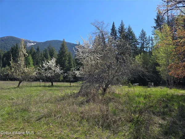 $600,000 | 9 Dead Horse Lane, Heron, MT 59844