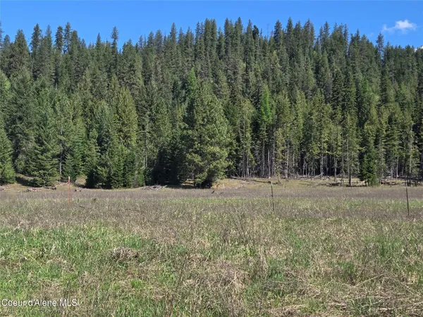 $600,000 | 9 Dead Horse Lane, Heron, MT 59844