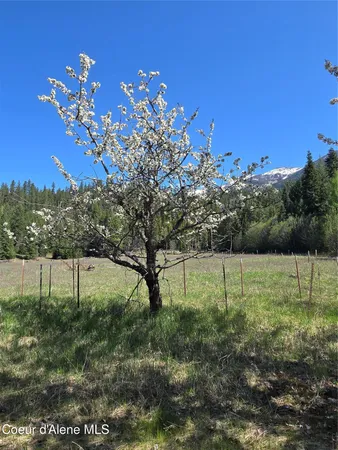 $600,000 | 9 Dead Horse Lane, Heron, MT 59844