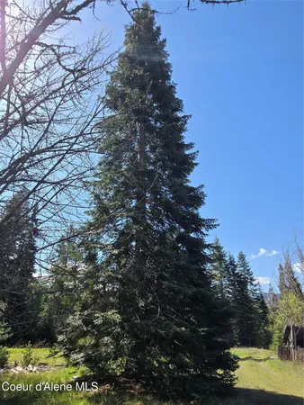 $600,000 | 9 Dead Horse Lane, Heron, MT 59844