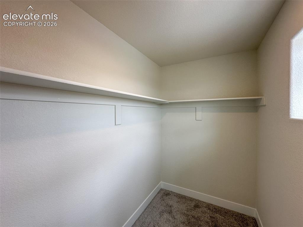 8214 Lemon Grass Road Falcon, CO 80831 - Photo 31 of 41