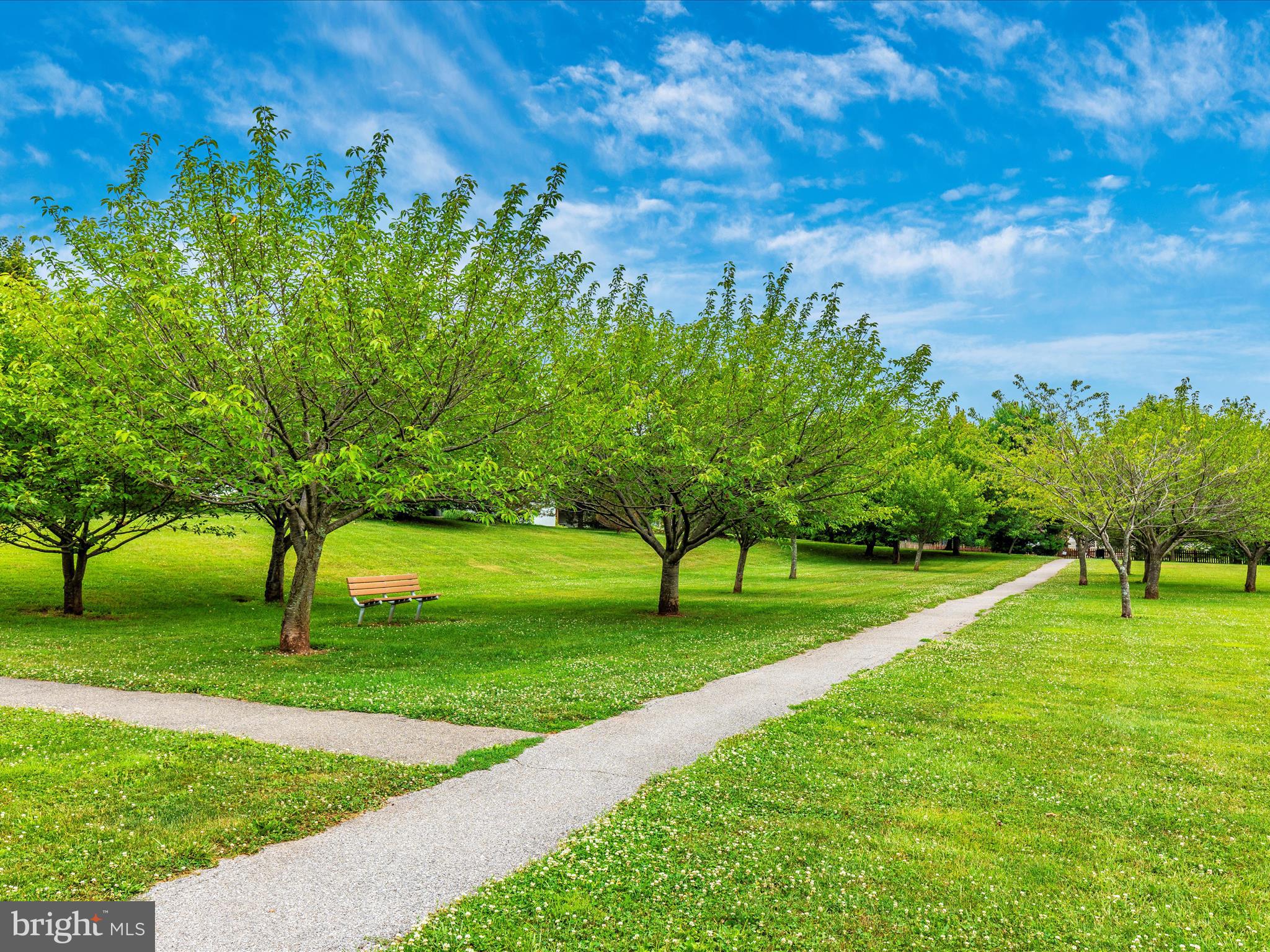 7094 Autumn Leaf Lane Frederick, MD 21702 - Photo 42 of 43 a view of a big yard with a large tree