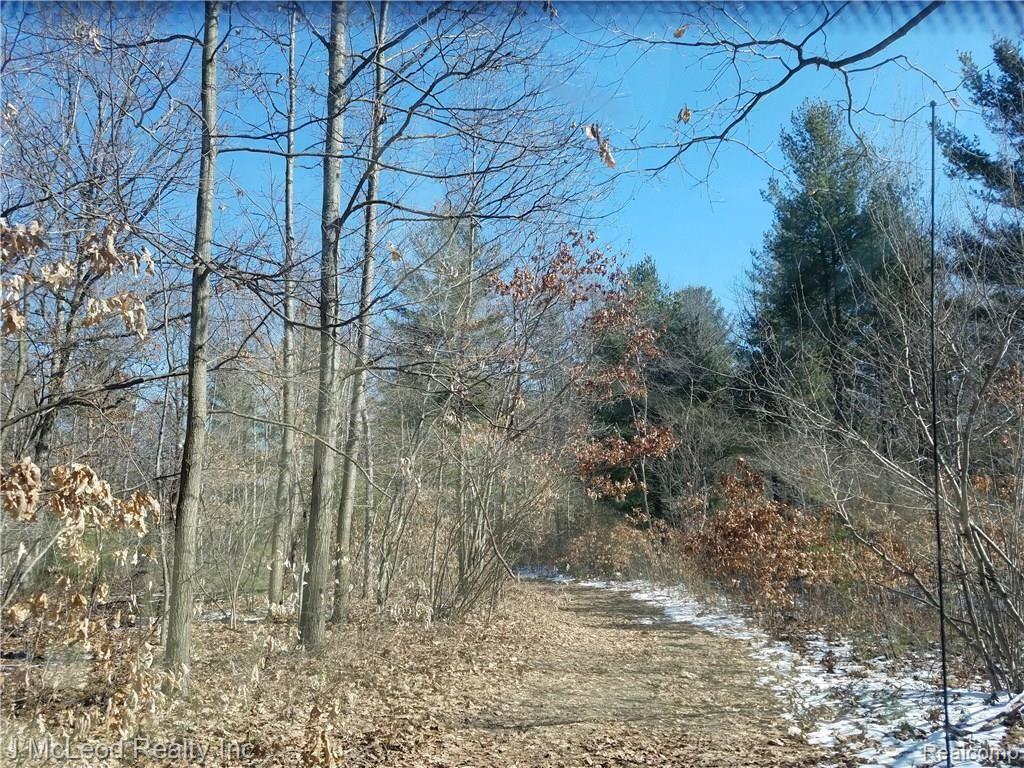 2017-03-05 11.34