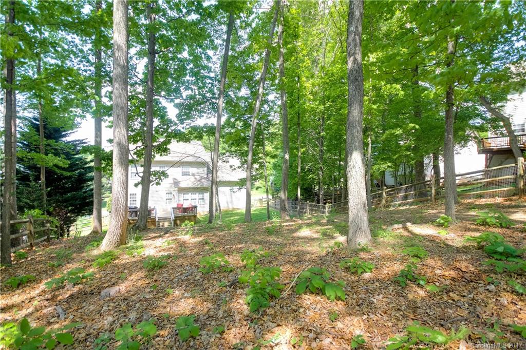 432 St George Road Fort Mill, SC 29708 - Photo 22 of 23 a view of a yard with plants and large trees