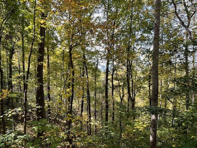 Lot 73 Hidden Treasure Murphy, NC 28906 - Photo 20 of 26