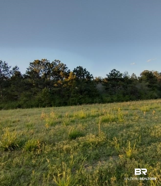Halls Crossroads Road Monroeville, AL 36460 - Photo 1 of 3